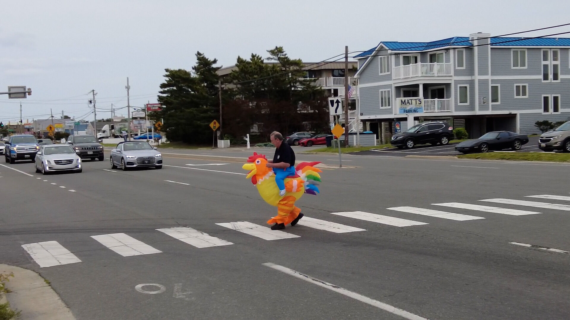 Coastal Connections: Fenwick Island police use chicken costume to promote crosswalk safety